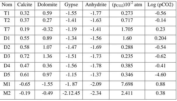 Tableau 8 :   Indices de saturation de quelques minéraux et pCO 2