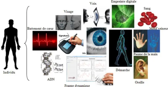 Tableau 1: Comparaison entre les techniques biométriques [2]. 