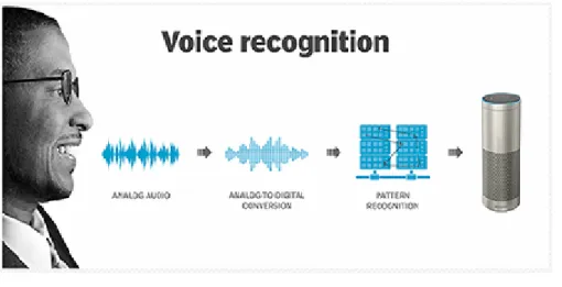 Figure 1.8 : Visage 
