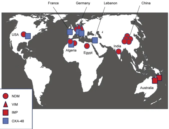 Fig. 1. Geographical distribution of carbapenemase-producing Enterobacteriaceae reported in animals or animal-derived products according to the major carbapenemases families.