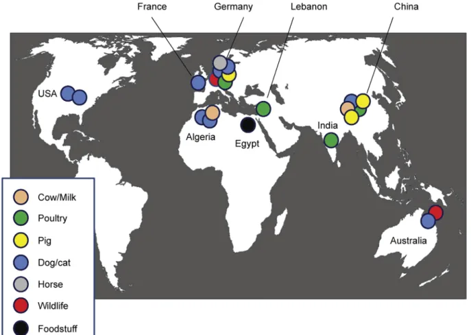Fig. 2. Geographical distribution of carbapenemase-producing Enterobacteriaceae reported in animals or animal-derived products according to the animal species/food from which they have been isolated.