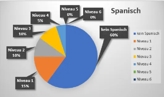 Abbildung 4 Gesprochene Sprache; Spanisch 
