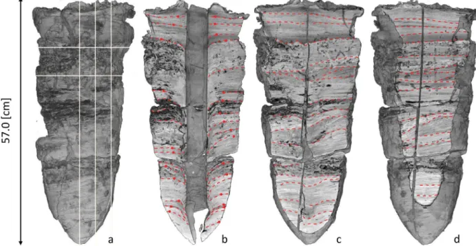 Fig. 8b. While Z1 is characterized by the presence of tubular porosity structures typically associated with biological activity (mainly  earth-worms), Z2 is deﬁned by a uniform interstitial porosity distribution.