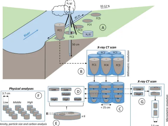 Fig. 1. Schematic representation of the experimental setup. The ﬁve extracted freeze-cores are mentioned as FC1, FC2, FC3, FC4 and FC5