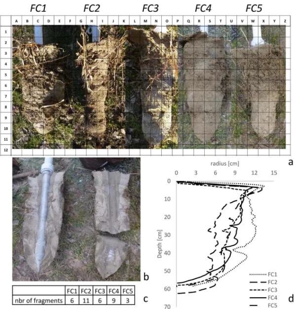Fig. 6a illustrates the median gray level value and the variability for the ﬁ ve RSUs after the measurements of the 30 gray level values per soil unit