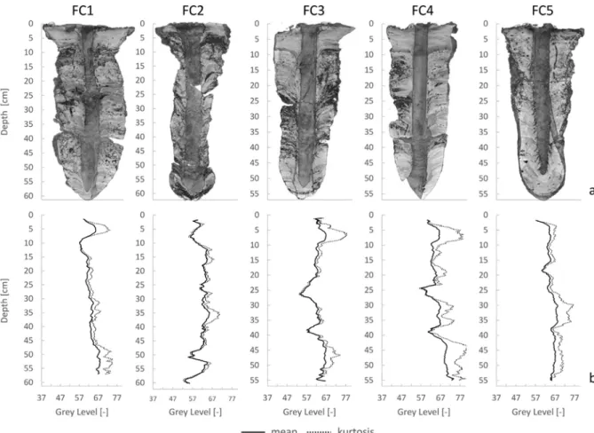 Fig. 6c shows an example of the segmentation into the 3 selected RSUs of a vertical cross section of FC4