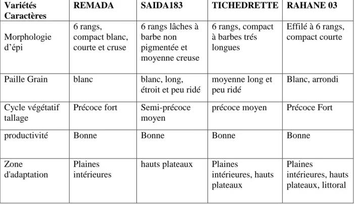 Tableau  n°  7:  Quelques  variétés  d'orge  cultivées  en  Algérie  et  leurs  caractères