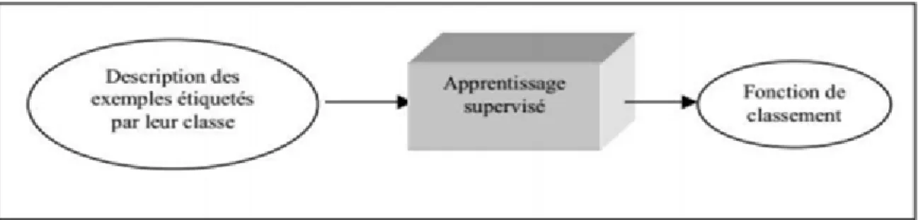 Figure 2.1 : Classification supervisée .  2.2.2 La classification non supervisée: 