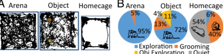 Fig. 3. BF gamma deactivation during arena exploration. (A) BF spectral power in the home cage and during arena exploration