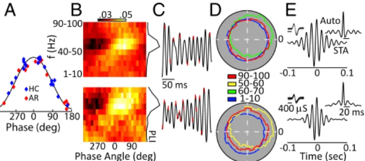Fig. 4. BF gamma deactivation during object exploration. (A) Average LFP gamma power during object and arena exploration compared with home cage (HC) values