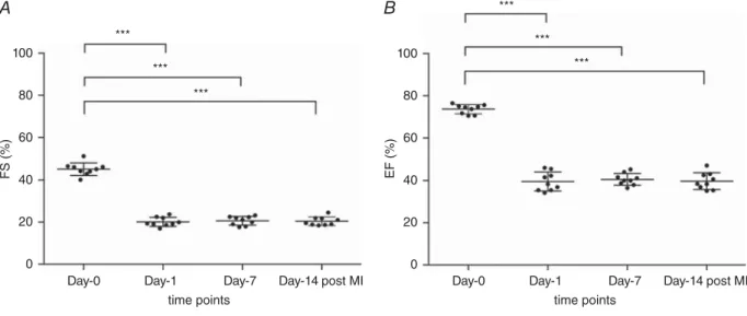Figure 1. Fractional shortening (FS; A) and ejection fraction (EF; B) at baseline (day 0), 24 h (day 1), 1 week (day 7) and 2 weeks (day 14) after induction of acute myocardial infarction (MI) in rats