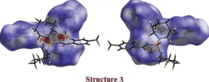 Fig. 15. Views of d norm Hirshfeld surface plotted on the structure 3 in two orientations, surrounded by neighboring molecules associated with close contacts