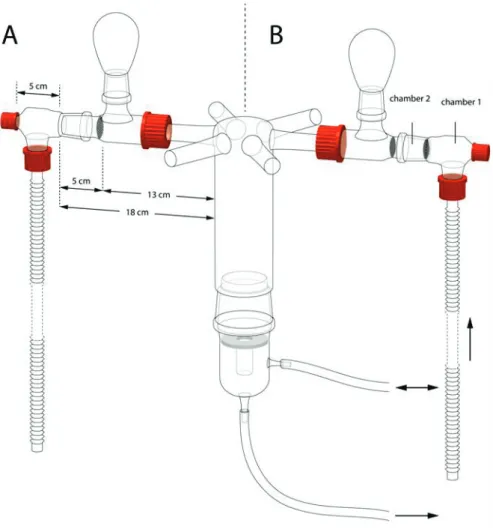 Figure 1. The six-arm olfactometer as it was used to test for attractiveness (A) and  repellency (B)