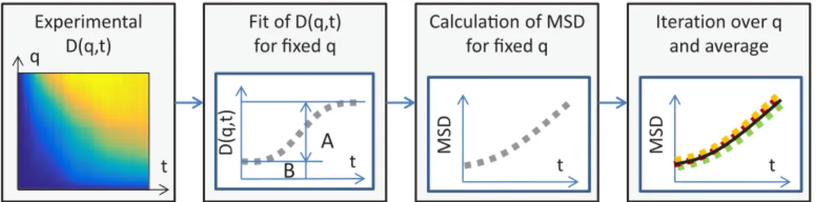 FIG. 1. Schematic representation of the fitting-based procedure used to determine MSD from the image structure function