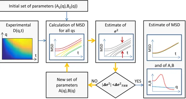 FIG. 3. Schematic representation of the optimization-based DDM analysis. The procedure is based on an optimization cycle (yellow arrows), fed by the experimental image structure function D(q,t) and by an initial set of parameters (A 0 (q),B 0 (q))