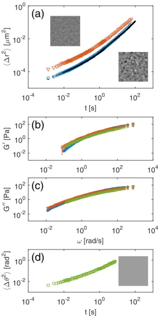 FIG. 5. Comparison of the viscoelastic moduli G  and G  of a 2% PEO polymer solution in water, obtained with different methods.