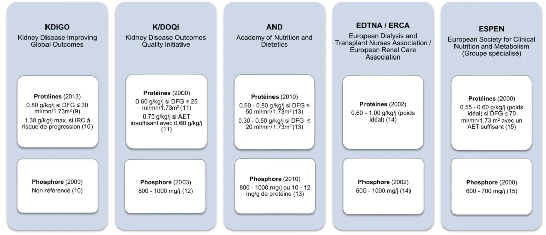 Figure 4 : Synthèse des apports nutritionnels recommandés en protéines et en phosphore selon les guidelines