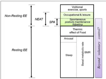 FIGURE 1 | Compartments of daily energy expenditure. Daily energy expenditure (EE) can be divided into resting and non-resting EE