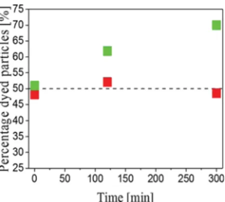 Figure 5. Percentage of ﬂ uorescent core − shell microparticles as a function of time (red squares: nonswollen particles and green squares: