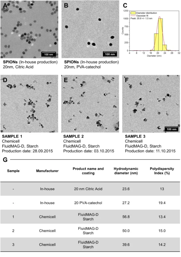 Figure  S1.  Details  on  SPIONs  characterization.  All  used  nanoparticles  were  investigated  prior  to  measurements  by  transmission  electron  microscopy  (TEM,  A-F),  as  well  as  by 