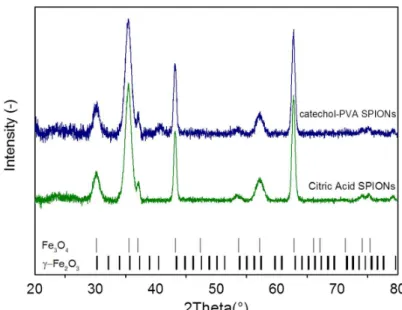 Figure S3. X-ray diffraction patterns of in-house produced SPIONs. Experimental X-ray  diffraction profiles of citric acid coated and PVA-catechol SPIONs along with maghemite (γ-  Fe 2 O 3 )  and  magnetite  (Fe 3 O 4 )  reference  patterns  (respectively 