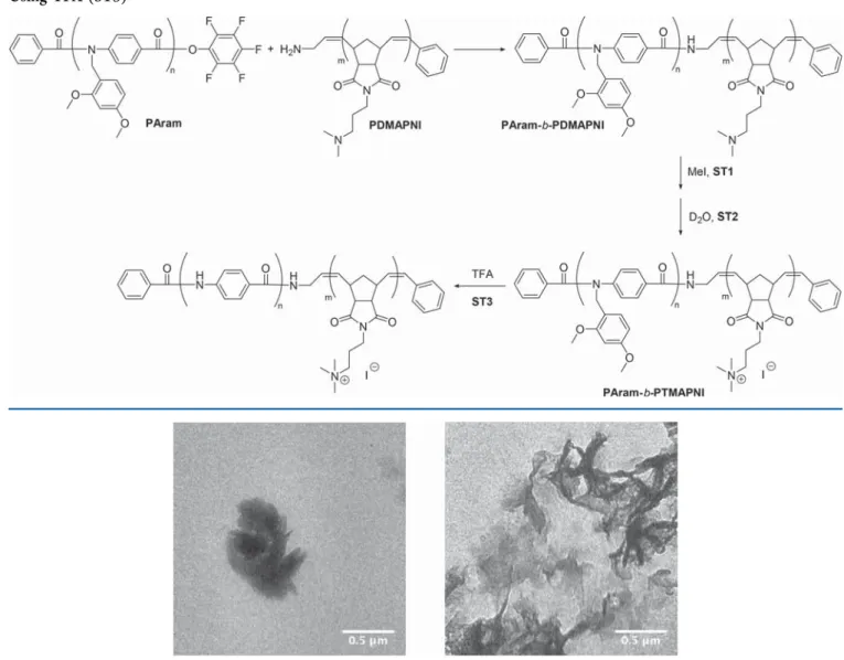 Figure 2. Transmission electron micrographs of the quaternized block copolymer PAram-b-PTMAPNI (Scheme 3, ST2) in a deuterated mixture of DMF and water (1:1)