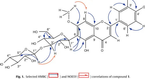 Fig. 1. Selected HMBC ( ) and NOESY ( ) correlations of compound 1.