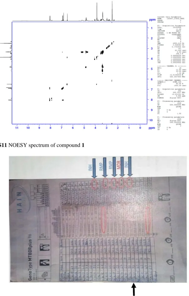 Figure S12. Genotype profile of M. tuberculosis codifies AC 45 