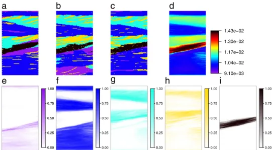 Fig. 13. Results of the application accounting for geophysical data: (a) reference field; (b–c) two realizations generated using our method (t B = 2 · 10 − 3 , see text for details); (d) pixel-wise mean over 100 realizations; (e–i) occurrence proportion fo