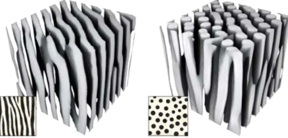 Fig. 12. Segmentation of 3D images seen as a ﬁltering problem. Figure reproduced from Wang et al