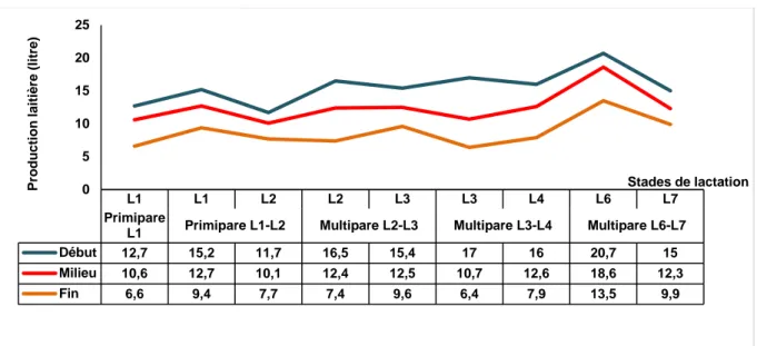 Figure 4. Evolution de la moyenne de production laitière, selon le stade de lactation chez les  différentes catégories de vaches laitières 