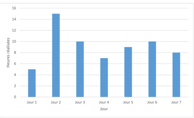Figure 10 : Graphique de vélocité 
