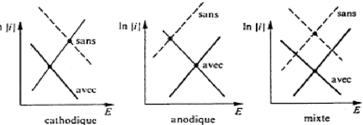Figure  II.1  : Diagrammes d'Evans montrant le déplacement du potentiel de corrosion dû à la  présence d'un inhibiteur anodique, cathodique ou mixte