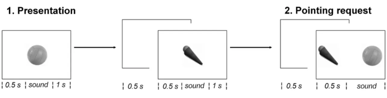 Figure 1. Example training trial.