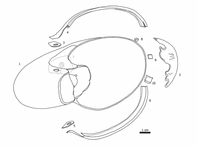 Grafik 2 Der Nautilus (1) mit der Lippenrandfassung (4 und 6) und dem blattvergoldeten Papier (2)