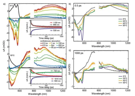 Fig. 3 TA data for CPT in solution following excitation at 400 nm (1.5  10  4 M on a monomeric unit basis in PBS)