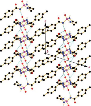Fig. 5 A view of the two-dimensional array of 1 built from N CP – H···O=P, N P –H···O=C and N P –H···N P hydrogen bonds