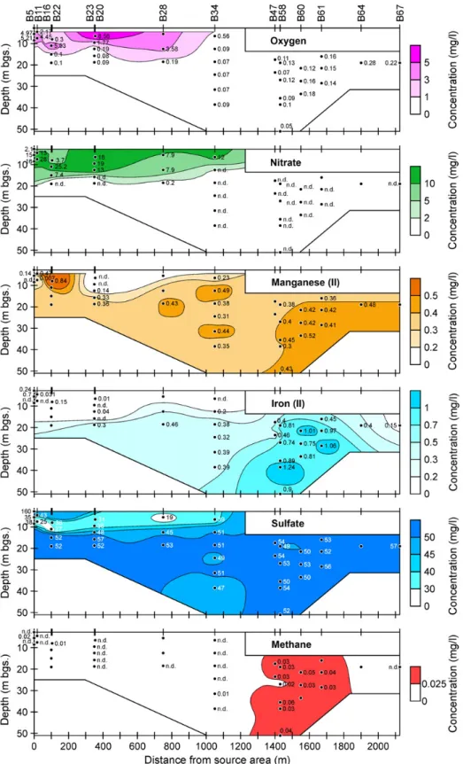 Fig. 3. Concentrations of redox sensitive species in a vertical section along the center of the plume indicated in Fig