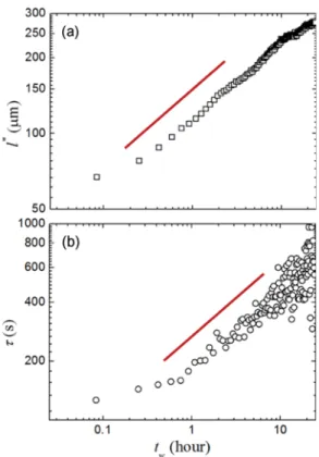 Fig. 6. (Color online) Time evolution of the transport mean free path l *  and the relaxation time τ of a Gillette shaving foam,  con-tained in a L = 5 mm cuvette, continuously monitored by DWS over more than 10 h