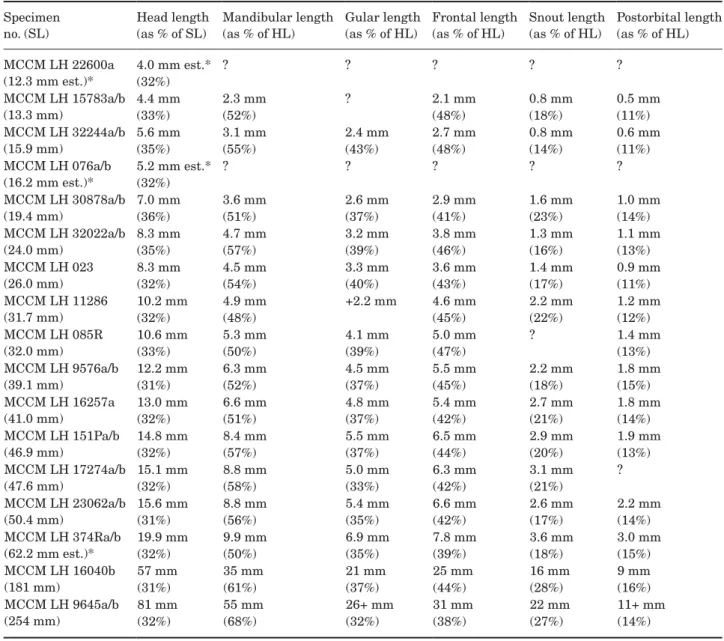 Table 1.  Measurements for a growth series of Hispanamia newbreyi gen. nov., sp. nov.: head bones