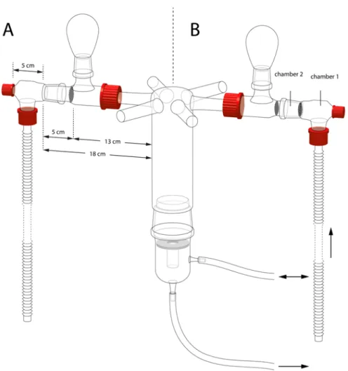 Figure 1. The six-arm olfactometer as it was used to test for attractiveness (A) and repellency  (B)