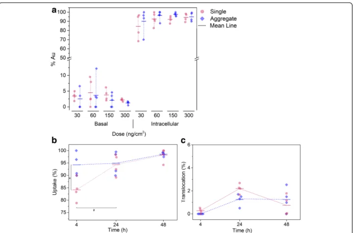 Fig. 5 a Bio-distribution of single and aggregated AuNPs 24 h post-exposure. b Uptake kinetics after exposure to single and aggregated AuNPs at a concentration of 300 ng/cm 2 ; significant differences of intracellular gold were found between single and agg
