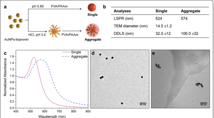 Fig. 1 Characterisation of single and aggregated AuNPs. a Preparation of single and aggregated AuNPs from AuNPs-tiopronin