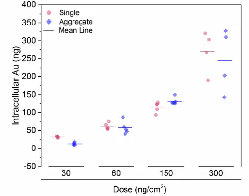 Fig. S7 Intracellular amount of gold 24 h post-exposure to single and aggregated AuNPs