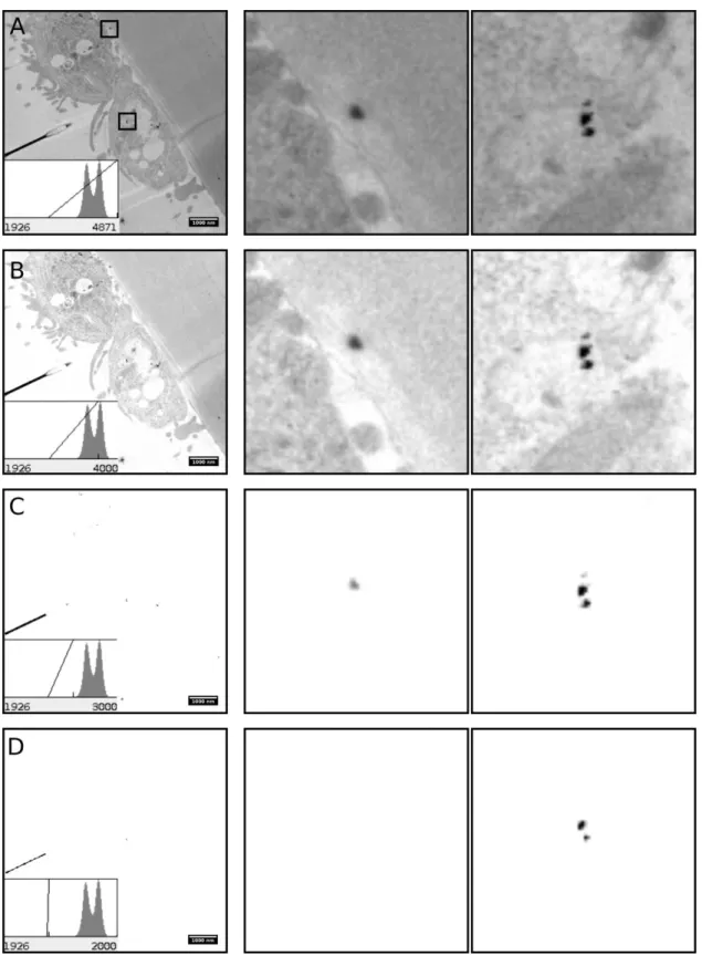 Fig. S8 Histogram analysis 