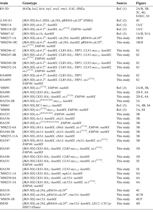 Table S1. Strains used in this study 