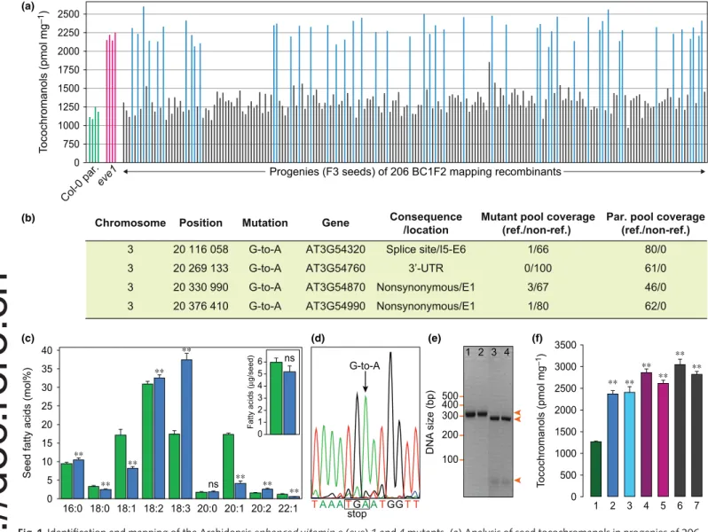 Fig. 1 Identiﬁcation and mapping of the Arabidopsis enhanced vitamin e (eve) 1 and 4 mutants