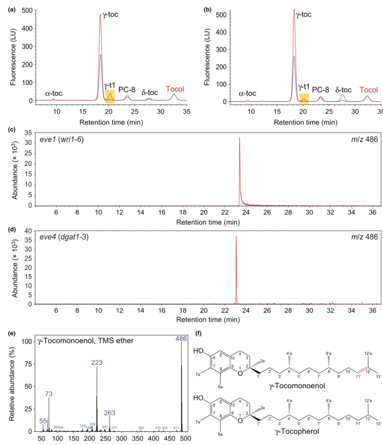 Fig. 2 Accumulation of c-tocomonoenol in the Arabidopsis enhanced vitamin e (eve) 1 and 4 seeds