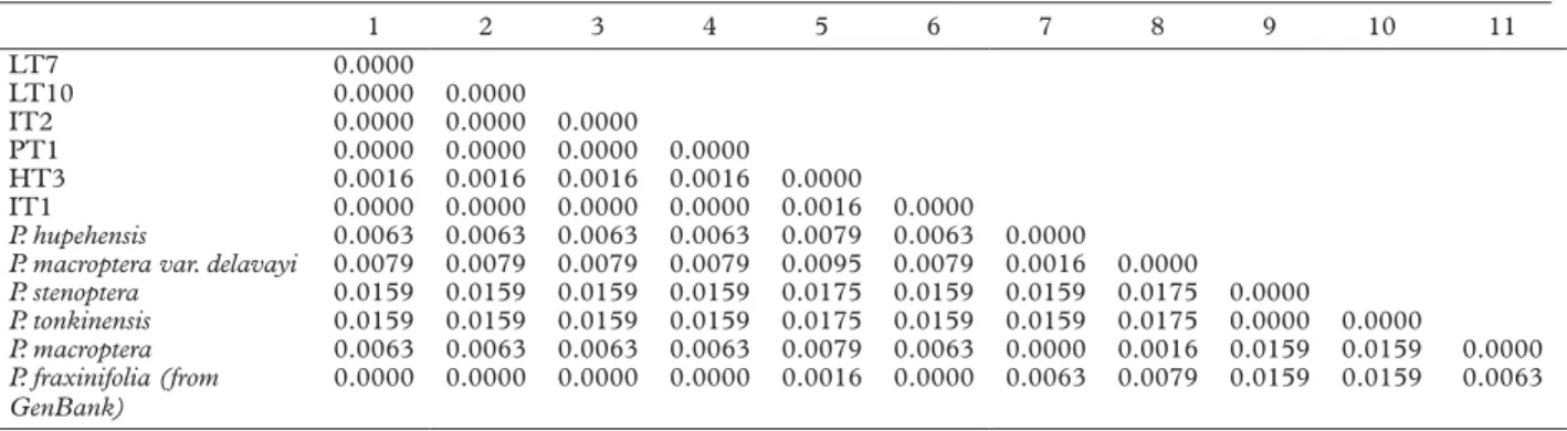 Table V. Pairwise genetic distances between the Pterocarya taxa using Kimura-2-parameters distance based on ITS region.