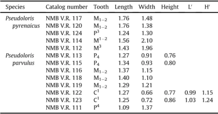 Figure 8. Size graphs (length  width) of the M 1e2 and M 12 of the different species of the genus Pseudoloris